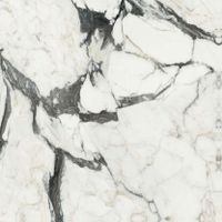 Керамогранит Rex Ceramiche (Florim) Les Bijoux de Rex Calacatta Altissimo Blanc Glo Ret арт-765675 — фото 1, Керамогранит