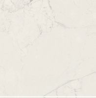 Керамогранит Villeroy&Boch Victorian by Mary Katrantzou White 7FLPR арт-K2660MK1P0 — фото 1, Керамогранит