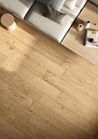 Керамогранит Ceramica Fioranese Legnovivo Bianco арт-LV201R — фото 13, Керамогранит