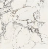 Керамогранит Piemme Valentino Majestic Pure Glorious Arabescato N R арт-3913 — фото 6, Керамогранит