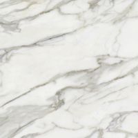 Керамогранит Laparet Angel Blanco полированный арт-SG607022R — фото 8, Керамогранит