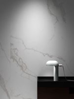 Керамогранит Living Ceramics Blanc Calacatta арт-BL/CAL/SF-TX — фото 5, Керамогранит