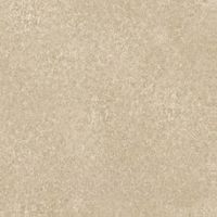 Керамогранит Ariana Shades 2.018 Cream Nat арт-D00199865 — фото 1, Керамогранит