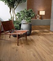 Керамогранит Marca Corona Elisir Royal Dorato RT арт-I872 — фото 2, Керамогранит