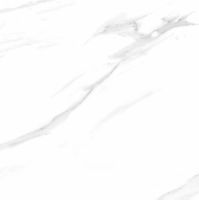 Керамогранит Pardis Ceramic Pazh Керамогранит Watson арт-P166531 — фото 6, Керамогранит