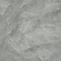 Керамогранит Ceradim Regnum Grigio матовый арт-CR6060G0401R — фото 5, Керамогранит