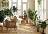 Керамогранит Cersanit Bruno Коричневый арт-16068 — фото 2, Керамогранит