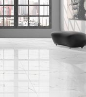 Керамогранит Belleza Silver White Полированный арт-00-00000289 — фото 3, Керамогранит