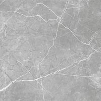 Товар: Керамогранит ProGRES Marble Line Grey Матовый Серый Светлый арт-NR0382 - фото 7 Керамогранит ProGRES Marble Line Grey Матовый Серый Светлый арт-NR0382 — фото 7, Керамогранит