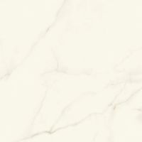 Керамогранит Atlas Concorde Italy Marvel X Calacatta Apuano Silk арт-AFVJ — фото 12, Керамогранит