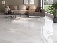 Керамогранит Pamesa Marbles Tresana Blanco matt арт-017.869.0012.00162 — фото 9, Керамогранит