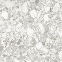 Керамогранит Sant Agostino Venistone Pearl Nat Ret арт-CSAVPE1212 — фото 9, Керамогранит