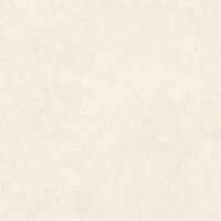 Керамогранит Alma ceramica Amsterdam Матовый арт-GFU6060ADM04R — фото 9, Керамогранит