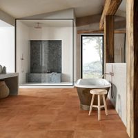 Керамогранит Edimax Astor Home Darkpeat арт-B258 — фото 3, Керамогранит