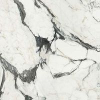 Товар: Керамогранит Rex Ceramiche (Florim) Les Bijoux de Rex Calacatta Altissimo Blanc Matte Ret арт-766364 - фото 1 Керамогранит Rex Ceramiche (Florim) Les Bijoux de Rex Calacatta Altissimo Blanc Matte Ret арт-766364 — фото 1, Керамогранит