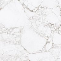 Керамогранит Absolut Gres Rossalia Natural gloss арт-AB1208G — фото 8, Керамогранит