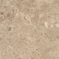 Керамогранит Grespania Bierzo Moka Seda арт-81BZP26 — фото 8, Керамогранит