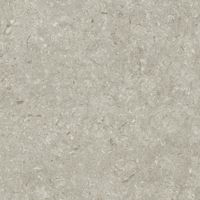 Керамогранит Grespania Fosil Gris Rec арт-82F265R — фото 7, Керамогранит