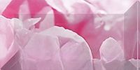 Бордюр Ceramica Classic Peony Рельефный арт-br1020D281-2 — фото 1, Бордюр