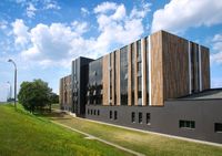 Керамогранит Idalgo Граните Вуд Эго Бежевый SR 19.5 арт-ID9023N036SR — фото 7, Керамогранит