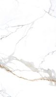 Товар: Керамогранит NT Ceramic Atlas Wide Carrara Gold арт-NTT3001P - фото 1 Керамогранит NT Ceramic Atlas Wide Carrara Gold арт-NTT3001P — фото 1, Керамогранит