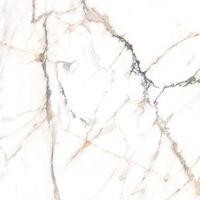 Керамогранит Alpas Euro Eco Marble Polished 60 арт-6582 — фото 11, Керамогранит
