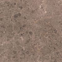 Товар: Керамогранит Grespania Artic Moka Pul арт-81RC26P - фото 8 Керамогранит Grespania Artic Moka Pul арт-81RC26P — фото 8, Керамогранит