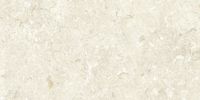 Керамогранит Grespania Fosil Bone Rec арт-46F232R — фото 2, Керамогранит