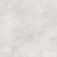 Керамогранит Dako Liberty Светло-серый Матовый арт-E-3014/M/600x600x9 — фото 3, Керамогранит