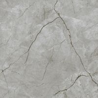 Товар: Керамогранит Eurotile Kanpur Matt арт-7930138704859 - фото 5 Керамогранит Eurotile Kanpur Matt арт-7930138704859 — фото 5, Керамогранит