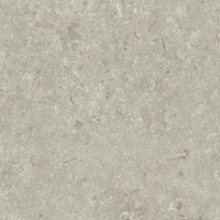 Керамогранит Grespania Fosil Gris Rec арт-81F266R — фото 3, Керамогранит