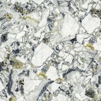 Керамогранит Atlas Concorde Russia Forte Dei Marmi Quark Ceppo Apuano Forest Lapp Ret арт-610015000703 — фото 5, Керамогранит