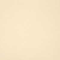 Керамогранит Casalgrande Padana Unicolore Technic Bianco Avorio Technic R10 14 Mm арт-431101 — фото 1, Керамогранит