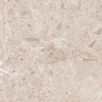 Керамогранит Grespania Artic Beige Nat арт-81RC-76 — фото 6, Керамогранит