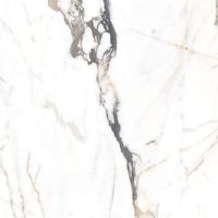 Керамогранит Alpas Euro Eco Marble Polished 60 арт-6582 — фото 9, Керамогранит