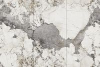 Керамогранит NT Ceramic Atlas Wide Calacatta Black арт-NTT3012P — фото 2, Керамогранит