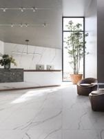 Керамогранит Refin Prestigio Statuario Apuano Matt R арт-RC48 — фото 1, Керамогранит