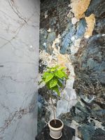 Керамогранит Ape ceramica Magallanes Marble Pol Rect арт-A039587 — фото 2, Керамогранит