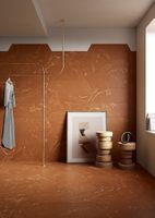 Керамогранит Ceramica Fioranese I Variegati Cotto арт-IV905R — фото 5, Керамогранит