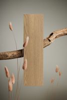 Керамогранит Imola ceramica Mother MIRRA6 SL 2012 арт-Mirra6Sl2012 — фото 1, Керамогранит