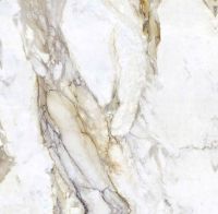 Товар: Керамогранит Zodiac Ceramica Calacatta Royal арт-MN039AP261206 (120х120) - фото 1 Керамогранит Zodiac Ceramica Calacatta Royal арт-MN039AP261206 (120х120) — фото 1, Керамогранит