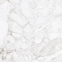 Керамогранит Absolut Gres Rossalia Natural gloss арт-AB1208G — фото 6, Керамогранит