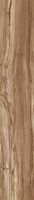 Товар: Керамогранит Creanza Persian Wood Natural CR арт-CW-CR03-B - фото 13 Керамогранит Creanza Persian Wood Natural CR арт-CW-CR03-B — фото 13, Керамогранит