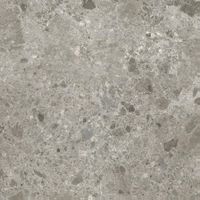 Керамогранит Ariostea Fragmenta Grigio Luminoso Natural Plus 10mm арт-P75618 — фото 1, Керамогранит