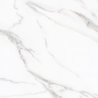 Керамогранит Protiles Bianco Carving арт-PT60J7058 — фото 5, Керамогранит