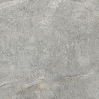 Керамогранит Laparet Storm Ash матовый арт-LP6060G0151R — фото 15, Керамогранит