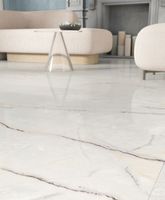 Товар: Керамогранит Ariana Epoque 21 Arabescato Ant R арт-PF60009346 - фото 4 Керамогранит Ariana Epoque 21 Arabescato Ant R арт-PF60009346 — фото 4, Керамогранит