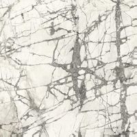 Товар: Керамогранит Ariostea Ultra Marmi Imperial Grey Natural 6mm арт-UM6S120636 - фото 1 Керамогранит Ariostea Ultra Marmi Imperial Grey Natural 6mm арт-UM6S120636 — фото 1, Керамогранит