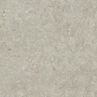Керамогранит Grespania Fosil Gris Rec арт-81F266R — фото 6, Керамогранит