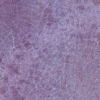 Товар: Настенная плитка Harmony Dyroy Aubergine 8,5mm арт-42608 - фото 5 Настенная плитка Harmony Dyroy Aubergine 8,5mm арт-42608 — фото 5, Настенная плитка